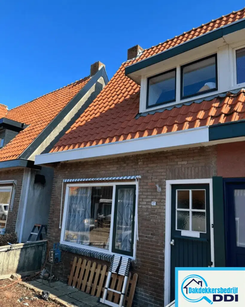 Dakpannen vervangen Alphen aan den Rijn